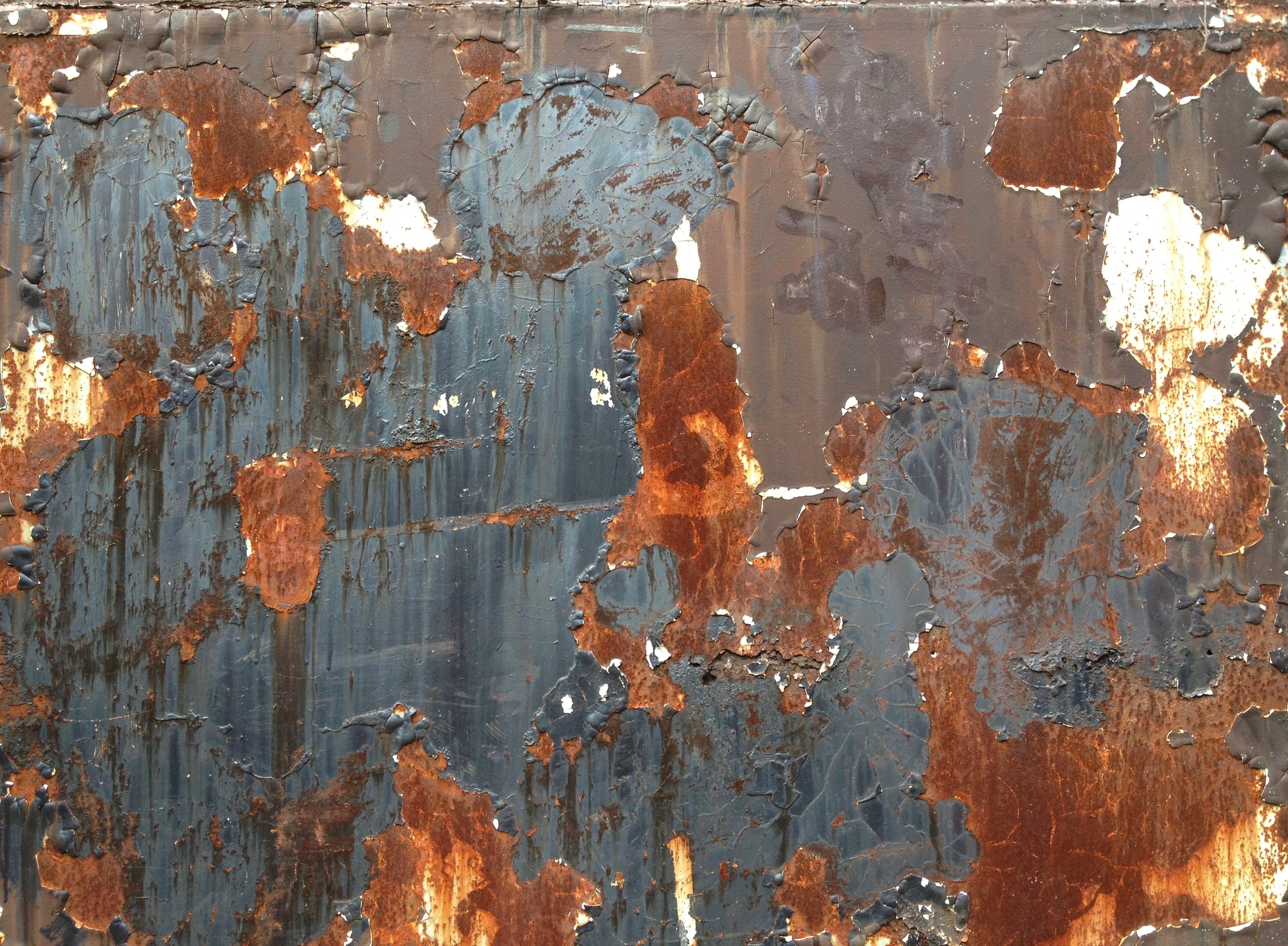 WabiSabi is Evolution; Evolution is WabiSabi TRANSNOMADICA