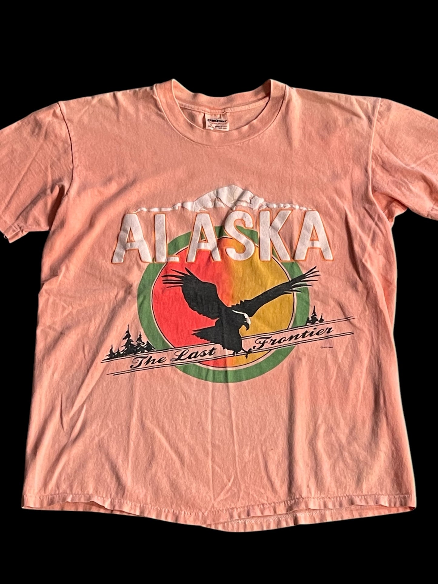 ALASKA STEDMAN GRAPHIC T-SHIRT - M