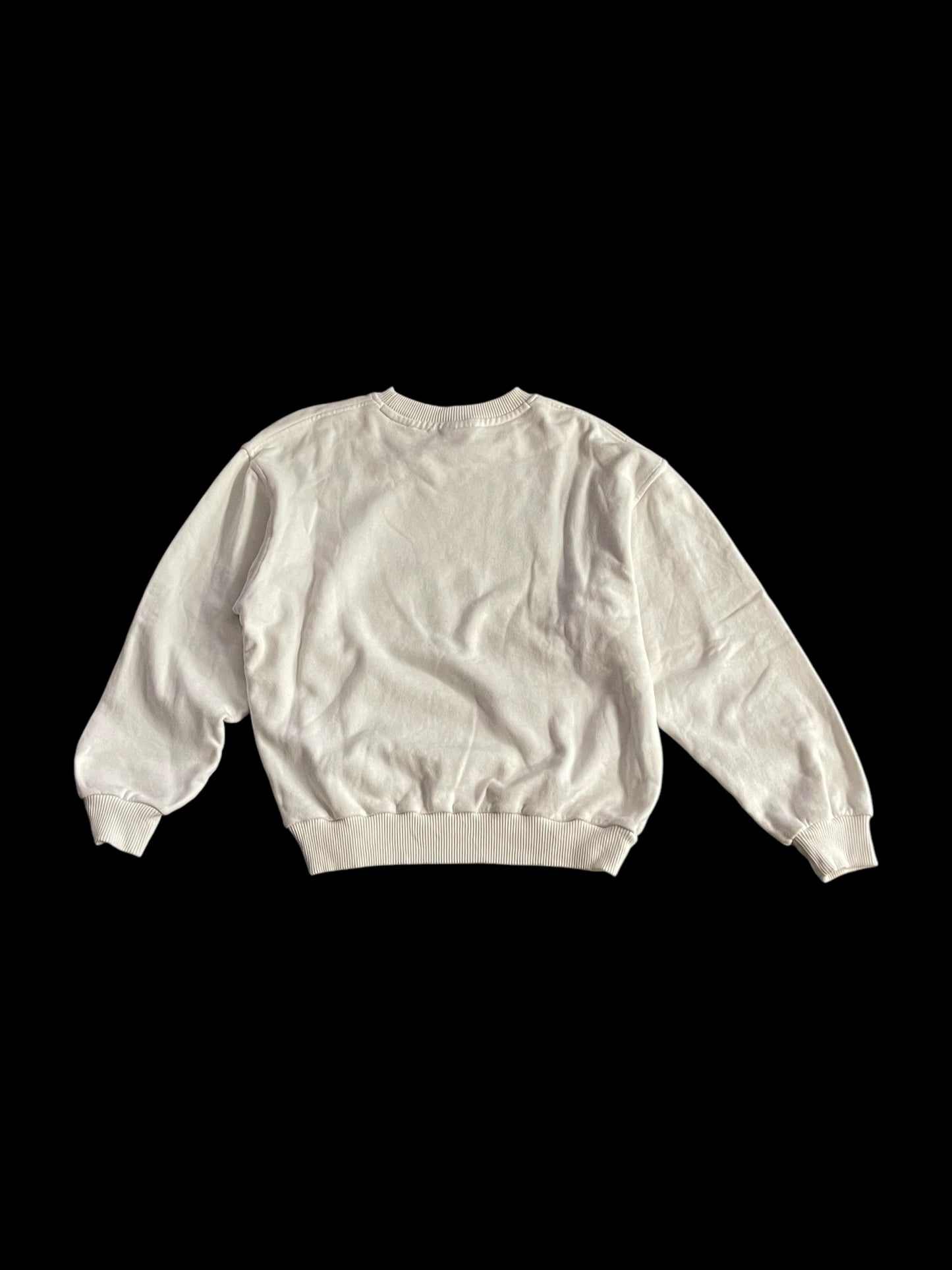 ADIDAS X DESCENTE GRAPHIC CREWNECK SWEATSHIRT - S