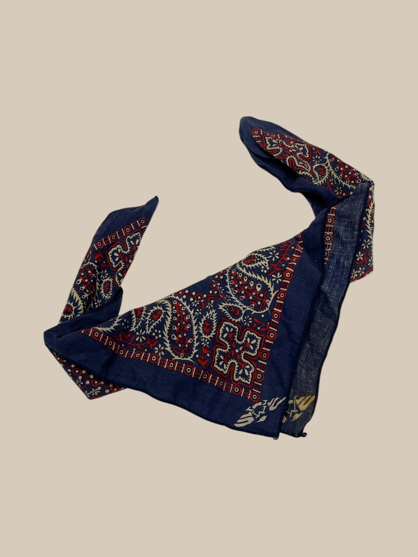 PAISLEY BANDANA