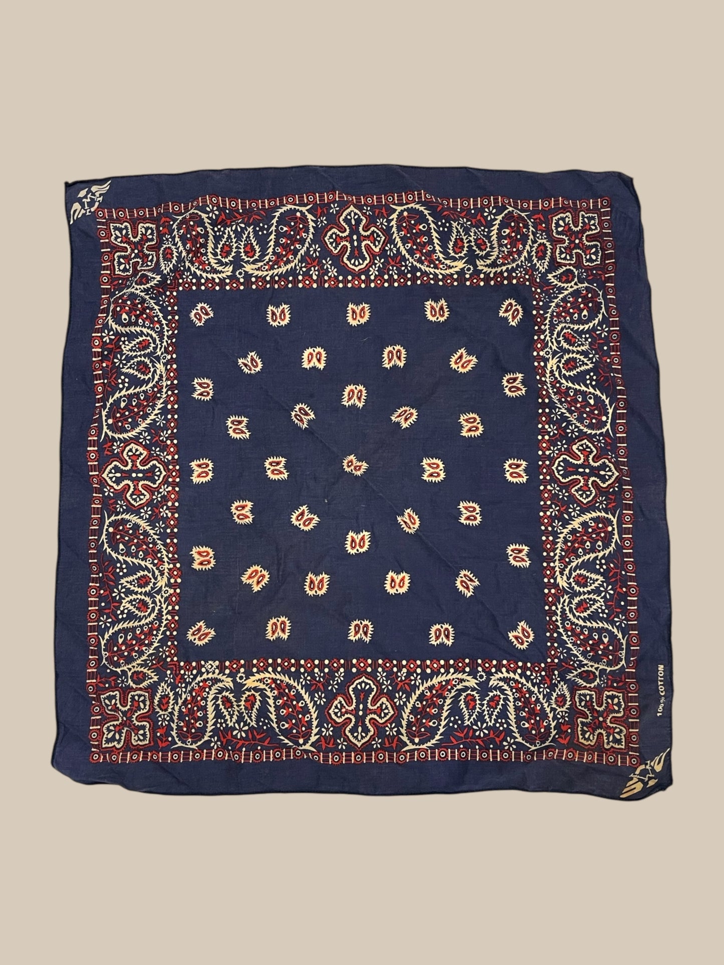 PAISLEY BANDANA