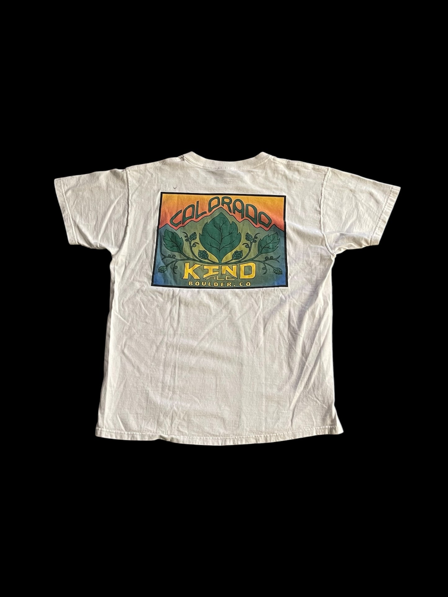 MOUNTAIN SUN PUB GRAPHIC T-SHIRT - L
