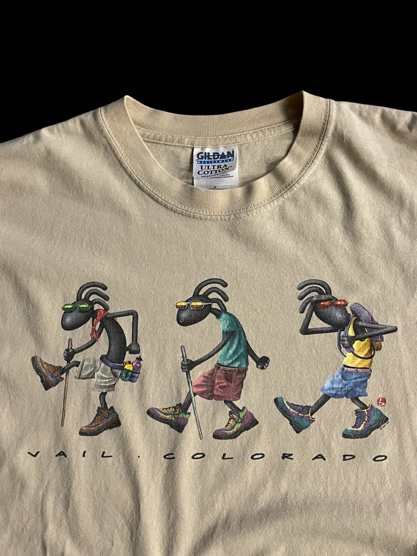VAIL COLORADO GRAPHIC T-SHIRT - L