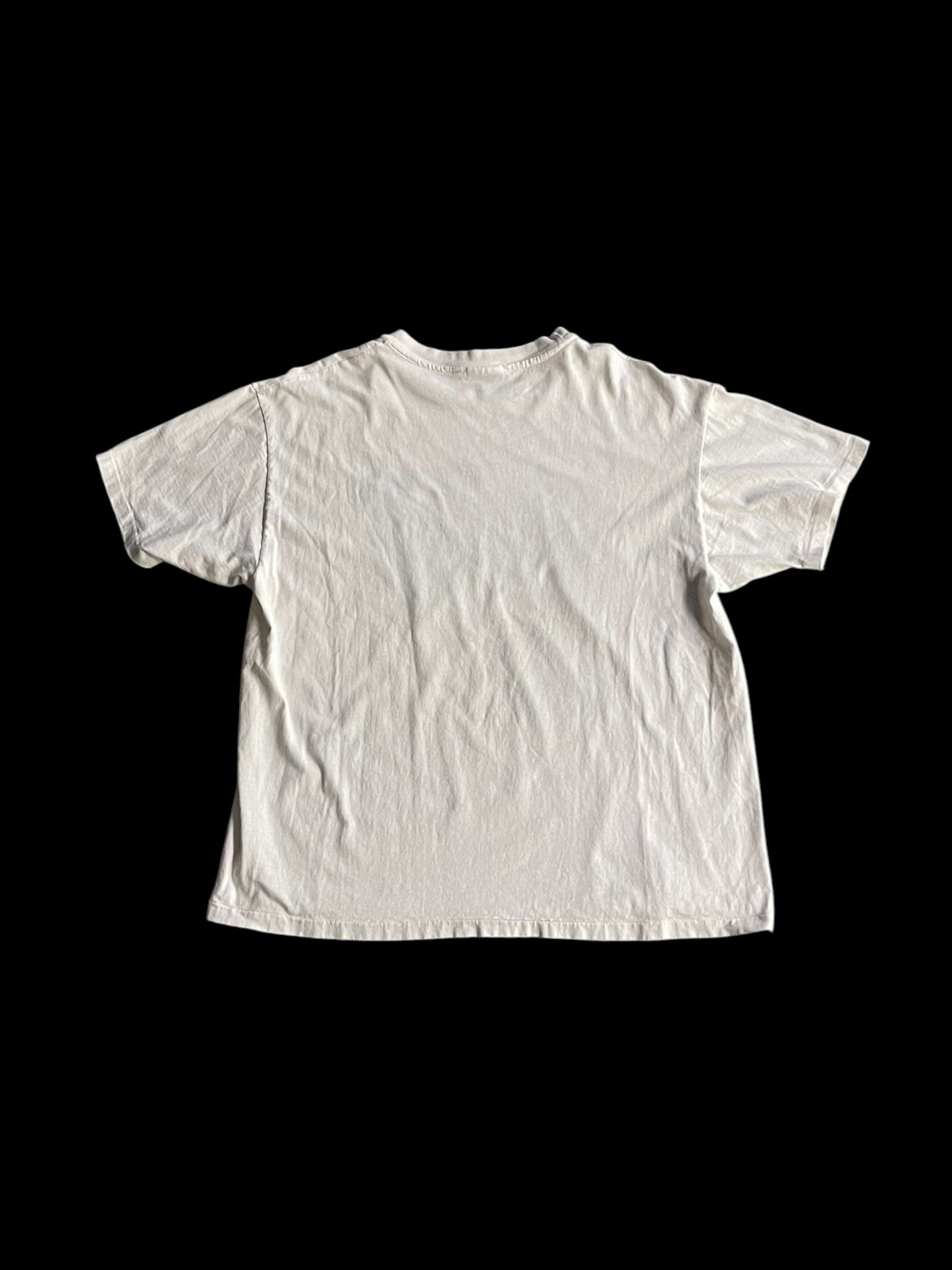 ARCTIC EXPLORER GRAPHIC T-SHIRT - XL