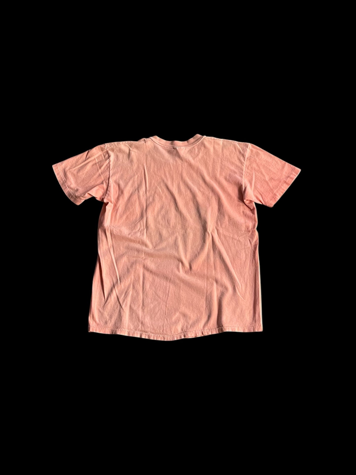 ALASKA STEDMAN GRAPHIC T-SHIRT - M