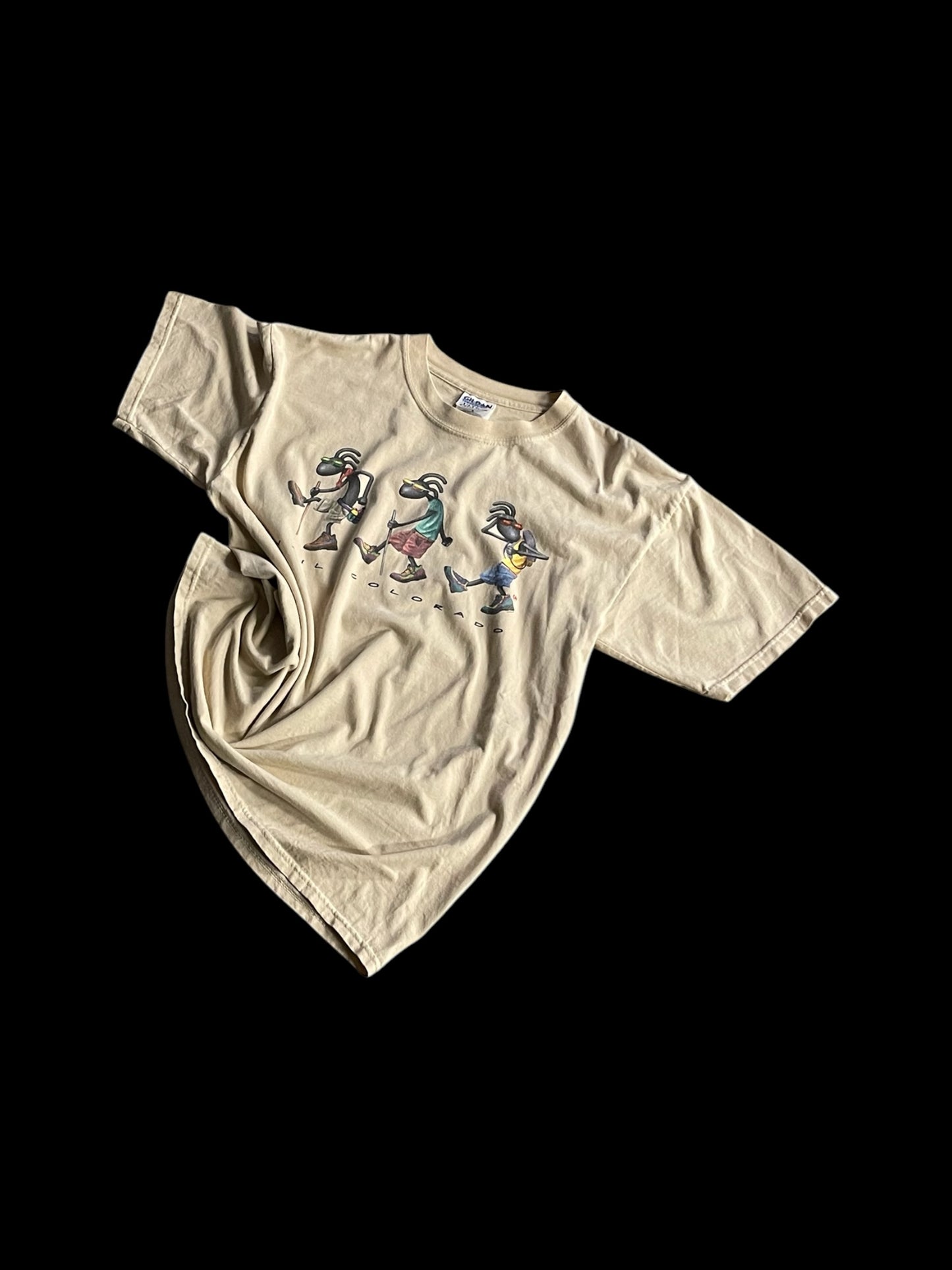VAIL COLORADO GRAPHIC T-SHIRT - L