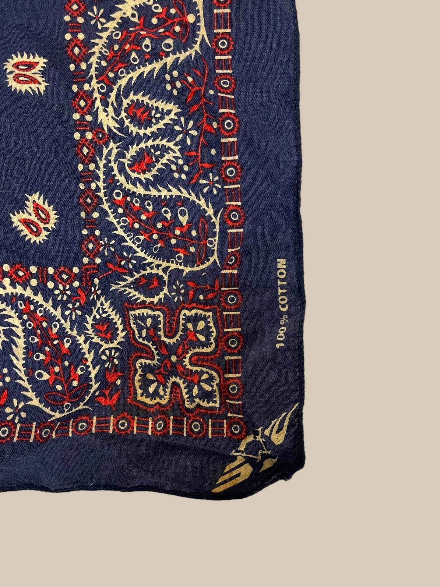 PAISLEY BANDANA