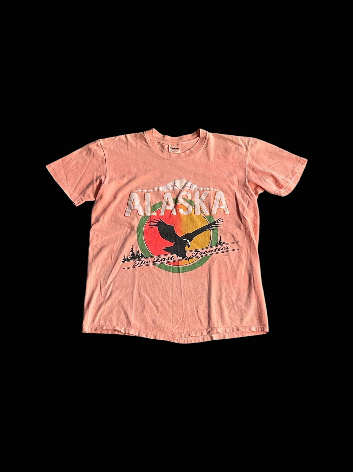 ALASKA STEDMAN GRAPHIC T-SHIRT - M