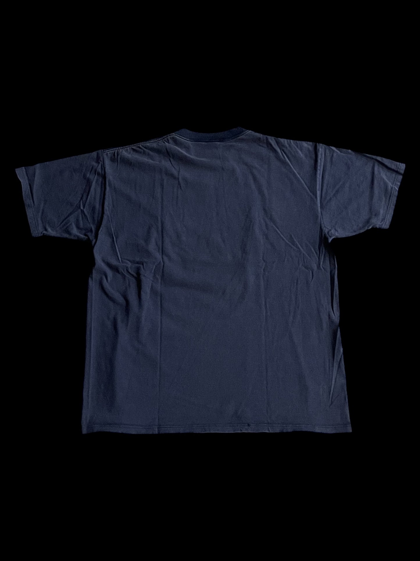 JERZEES ROCKY MOUNTAIN GRAPHIC T-SHIRT - XL