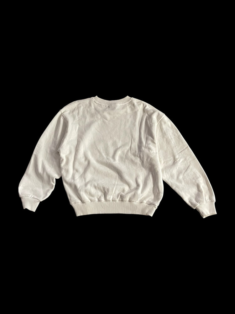ADIDAS X DESCENTE GRAPHIC CREWNECK SWEATSHIRT - S