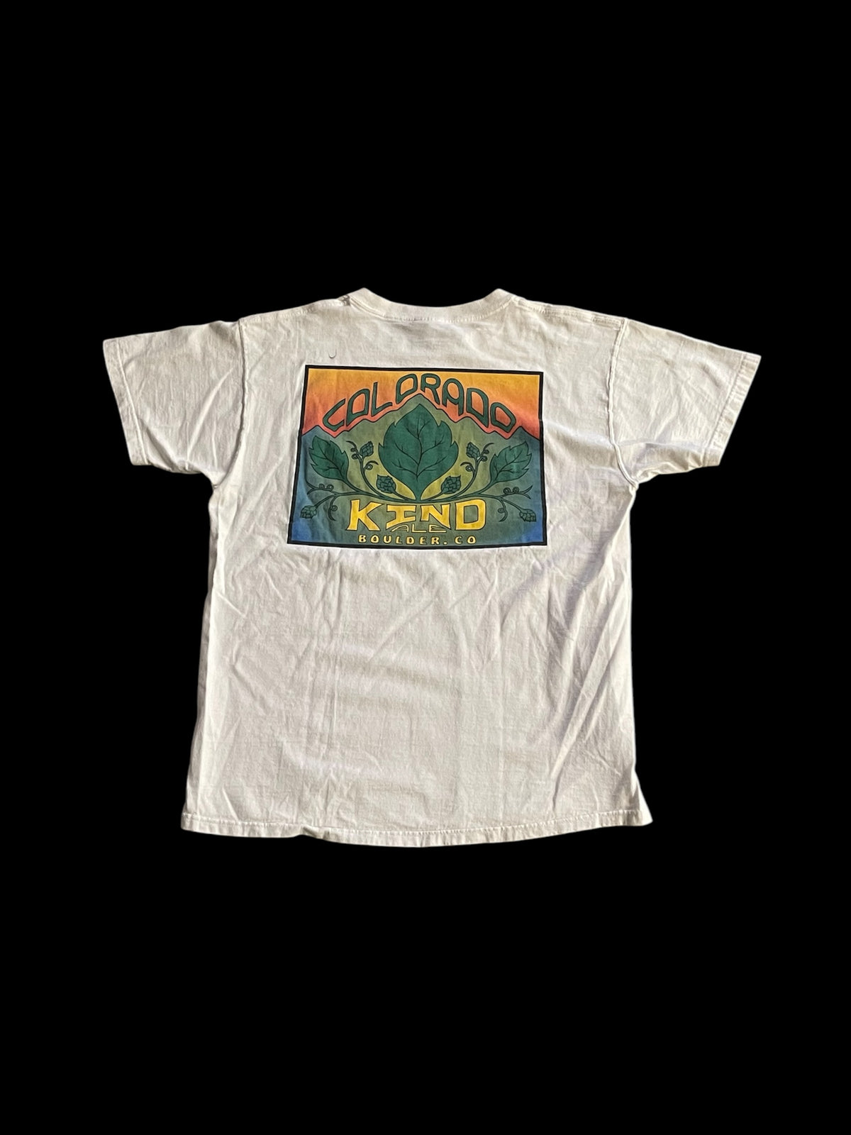 MOUNTAIN SUN PUB GRAPHIC T-SHIRT - L